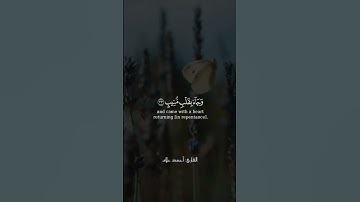 خشوع 🥺♥️ #تلاوة_خاشعة #اكسبلور #المصحف #راحة_نفسية #حالات_واتس #القارئ_احمد_علام #تيك_توك #لايك