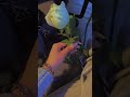 Щ ЩЉЩ Ш Щ Щ Щ Ш Щ Ш Щ Ш ШЄ Щ ЩЉЩ Щѓ ЩЉШ Щ ЩЉЩ вќ пёЏрџ Щ ЩЉЩ Ш Щ Щ Щ Ш Щ Ш Щ Ш ШЄ Щ ЩЉЩ Щѓ ЩЉШ Щ ЩЉЩ вќ пёЏрџ