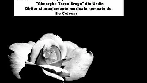 Orchestra "GHEORGHE TARAN DRAGA" ,Uzdin - Jocuri din  Banat 2