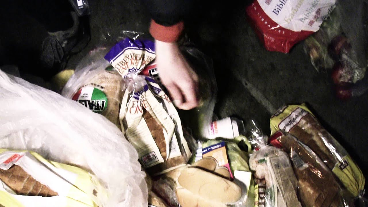 Dumpster Diving New York YouTube