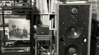 Audio Note M1 RIAA + Pinnacle ECC83 + The Cranberries 4