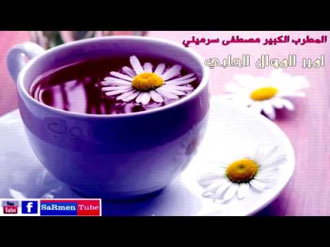 مصطفى سرميني موال كان لي صاحبا