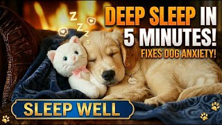 For Dogs with Separation Anxiety 🐶 Calming Music to Help Them Sleep Peacefully at Night