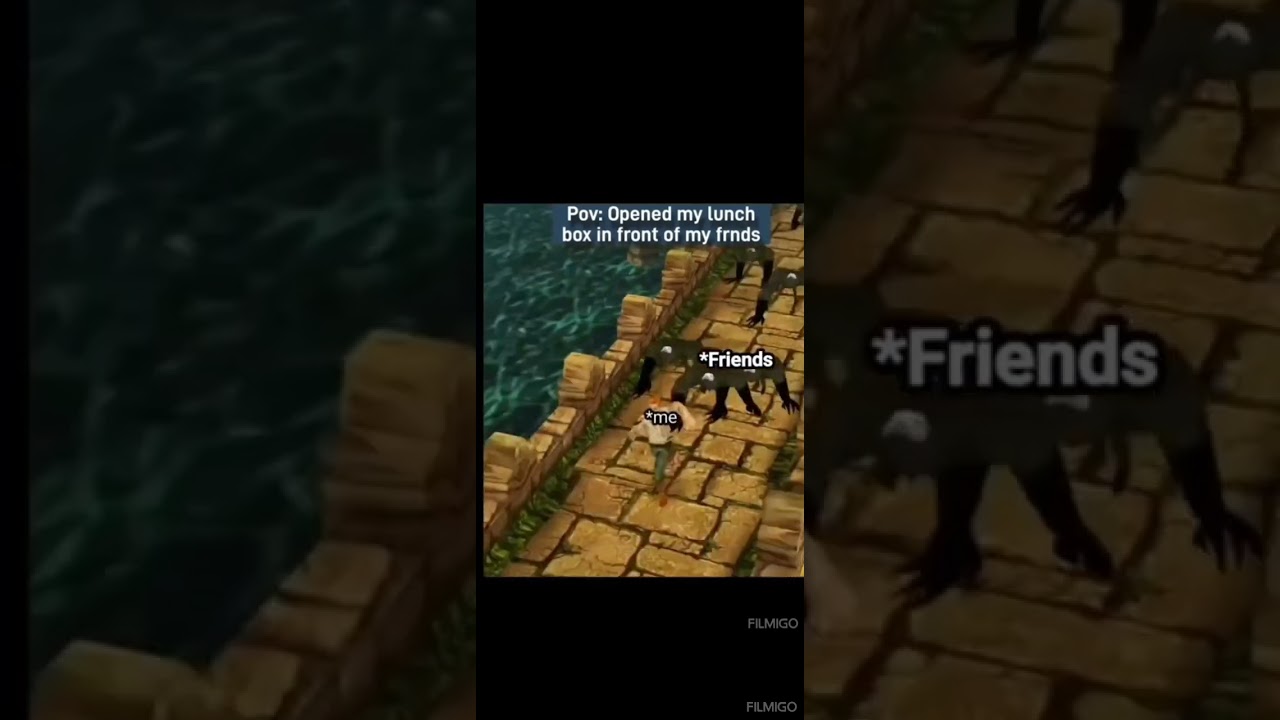 Lunchbox memories 🐱❤️😂