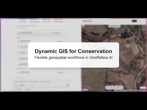 Dynamic GIS for Conservation: Flexible geospatial workflows in GeoRetina AI 🌱