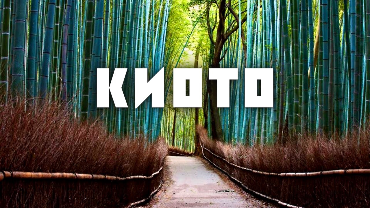 КИОТО, День 2 / Бамбуковая Роща, Район Гейш, Сад Камней / Путешествие ...