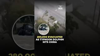 Typhoon Dolphin hits China: 280,000 evacuated as Shanghai braces for severe weather