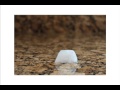 Understanding Heat Transfer
