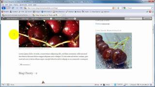 How to Remove the Thesis Theme Comments Link from the Blog Page