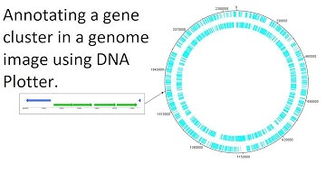 Labelling gene clusters using Artemis