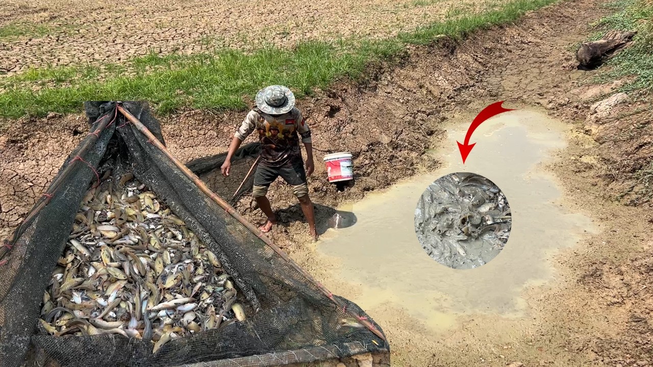 អស់ទាស់! ទឹកខះមួយក្រឡុក សុទ្ធតែត្រីក្រាញ់