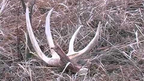 Reality Deer Management Ep. 7-Preparation For a Big Buck Next Fall Starts Now