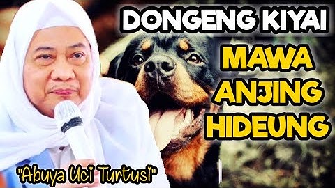 Abuya Uci | Dongeng Kiyai Mamawa Anjing Hideung
