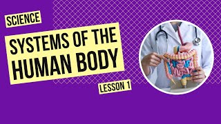 Systems of the Human Body | Science Lesson