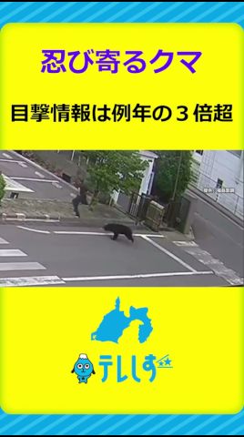 生活圏に忍び寄るクマ 目撃情報情報は例年の3倍超