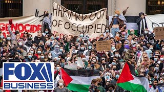 Harvard graduate says Claudine Gay is a small part of its ‘terrible year’ Profile