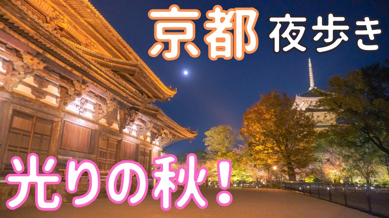 京都 紅葉と輝く五重の塔 東寺のライトアップ22 男ひとり旅vlog Youtube