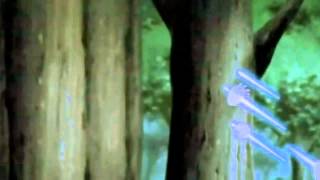 Sasuke amv You're Gonna Go Far, Kid