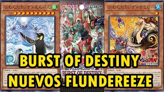 Nuevos Flundereeze - Burst Of Destiny - Teamsetox - Yu-Gi-Oh