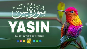 Surah Yasin (Yaseen) سورة يس | This Superb Voice Will TOUCH Your HEART إن شاء الله | Kitabullah TV