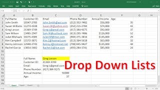 Data Validation and Drop Down Lists With Vlookup Function | Excel Tutorial