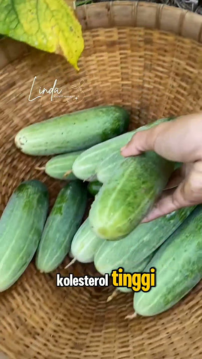 You Must Eat Cucumber If..!? #tips #tipsandtricks #healthtips #healthinfo #cucumber