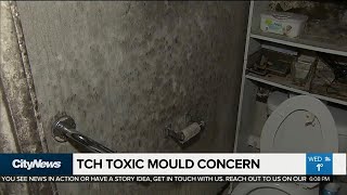 Woman Returns From Vacation To Find Toxic Mould In Tchc Unit