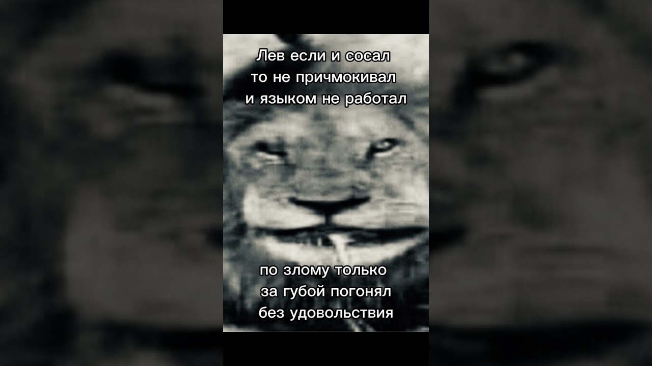 лев если и 