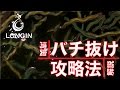 早春の東京湾奥・バチ抜けパターン攻略法を公開!!