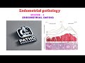 Endometrial Pathology 🌸 | Ep. 2 – Endometrial Dating