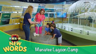 Manatee Lagoon Camp | New Words | KidVision Pre-K