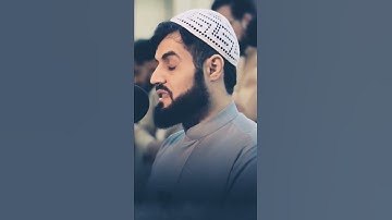 ﴿ويقول الكافر يا ليتني كنت ترابا﴾_ رعد الكردي_ سورة النبأ