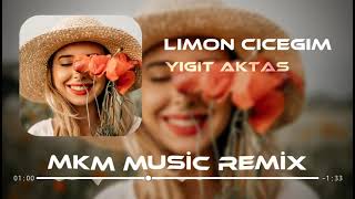 limon cicegi remix mp3 indir dur