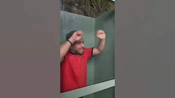 فوبيا الحشرات 