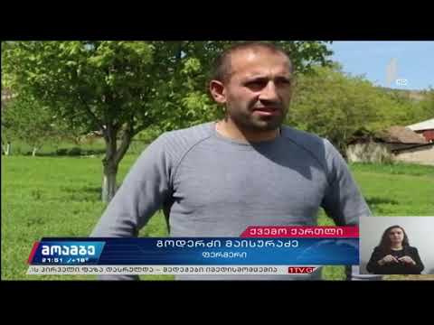 სასოფლო-სამეურნეო სამუშაოები თეთრიწყაროს მუნიციპალიტეტში