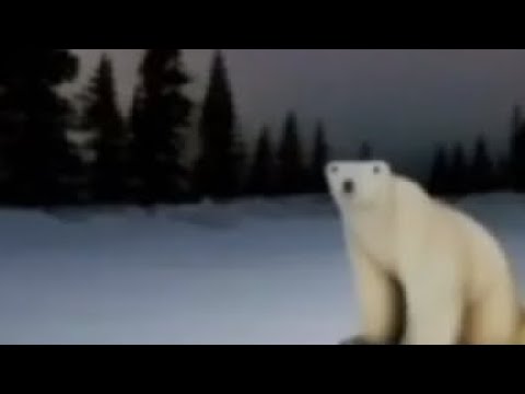 как спастись от медведя из 2026? #tiktok #shorts #шутка #интересно #научное #вес