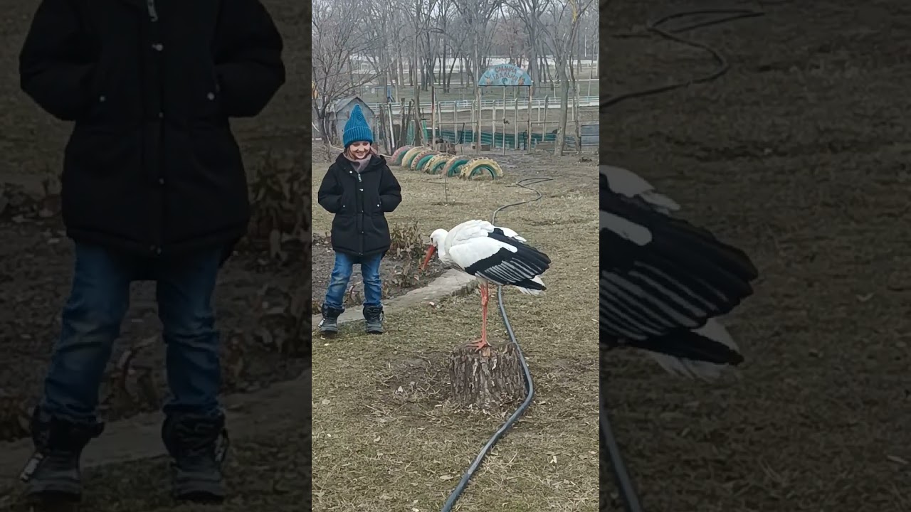 Любовь ко всем 😊 