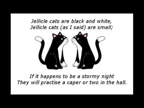 The Song of the Jellicles