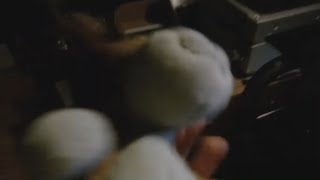 Request Kipper Sings Maisy Mouse Sparta Remix Extended