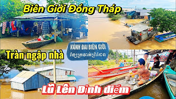 Lũ Campuchia Đổ Về Vùng Biên Đồng Tháp | Bà Con sống cảnh nước ngập nhà | Cả Làng kéo ra tắm Đồng