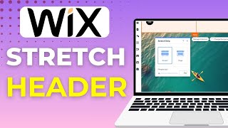How To Stretch Header To Full Width In Wix Quick Guide