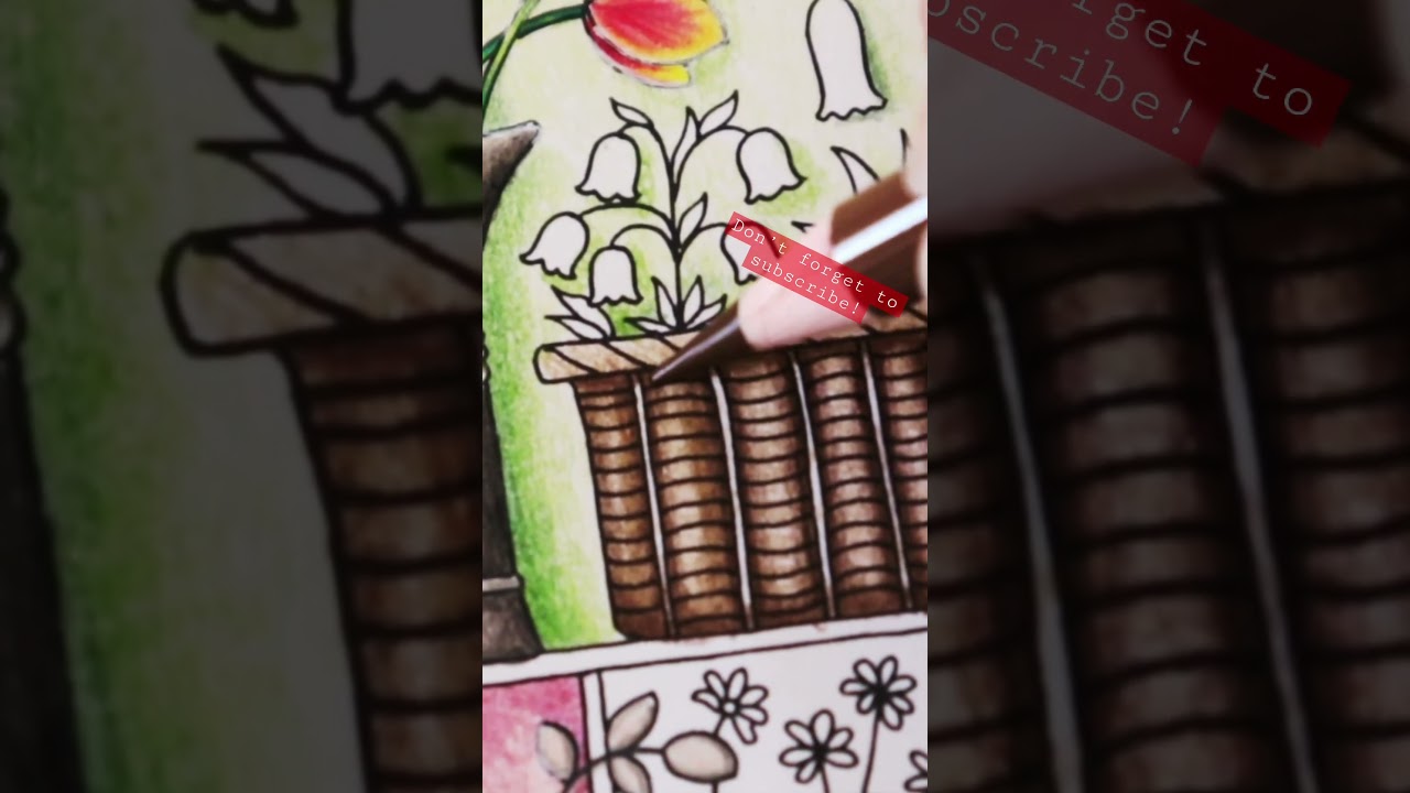 Colouring with Polychromos pencils in 