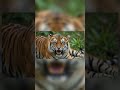 jiv vividhta #aieducation #scienceshorts #scienceshorts #aivideo #biology #livingworldclass11th