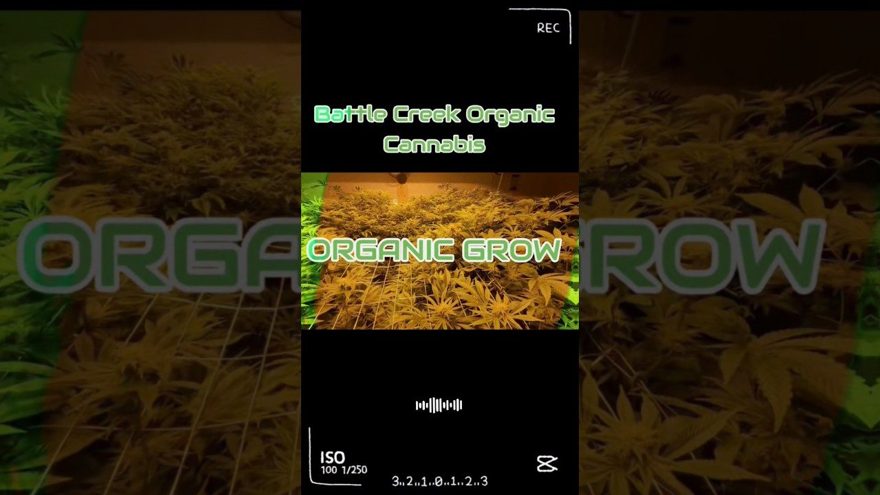 Organic Grow 