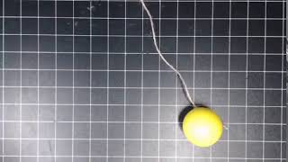 Stop Motion Pendulum Net Worth