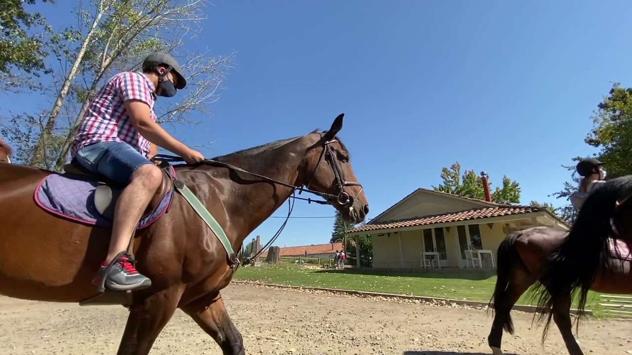 Cabalgatas en Viña Viu Manent