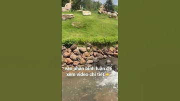 chú dũng cần tiền nhượng lại toàn bộ khu nghĩ dưỡng cho ai có nhu cầu ở châu đức bà rịa vũng tàu