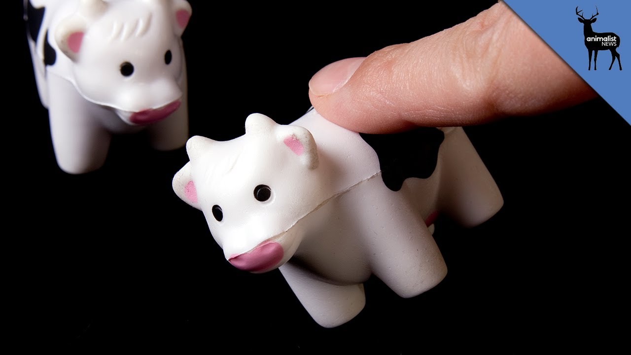 Cow Tipping is NOT POSSIBLE