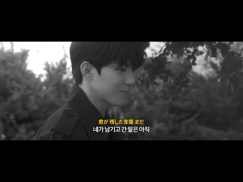 그런데도 넌 말했지, 다시 만난다면 | DAY6 - 「If ～また逢えたら