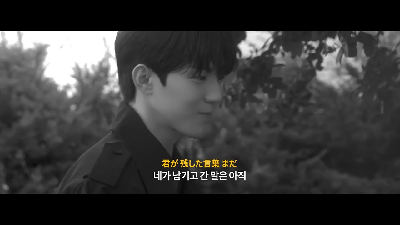 그런데도 넌 말했지, 다시 만난다면 | DAY6 - 「If ～また逢えたら 